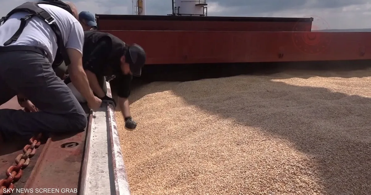 تصعيد أوكراني تجاه إسرائيل بسبب شحنات حبوب مشبوهة