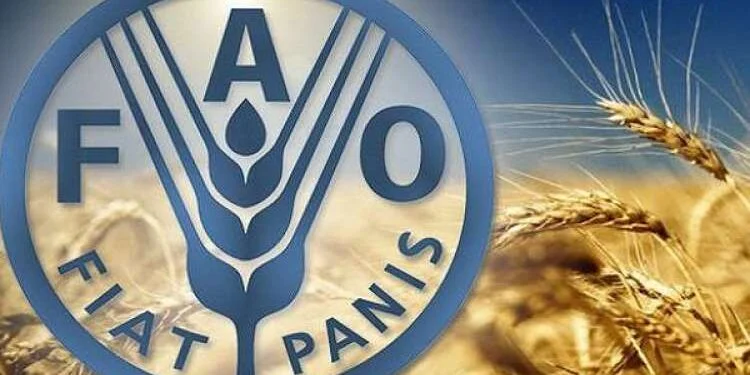 التوترات الإقليمية ترفع أسعار الغذاء لأرقام قياسية