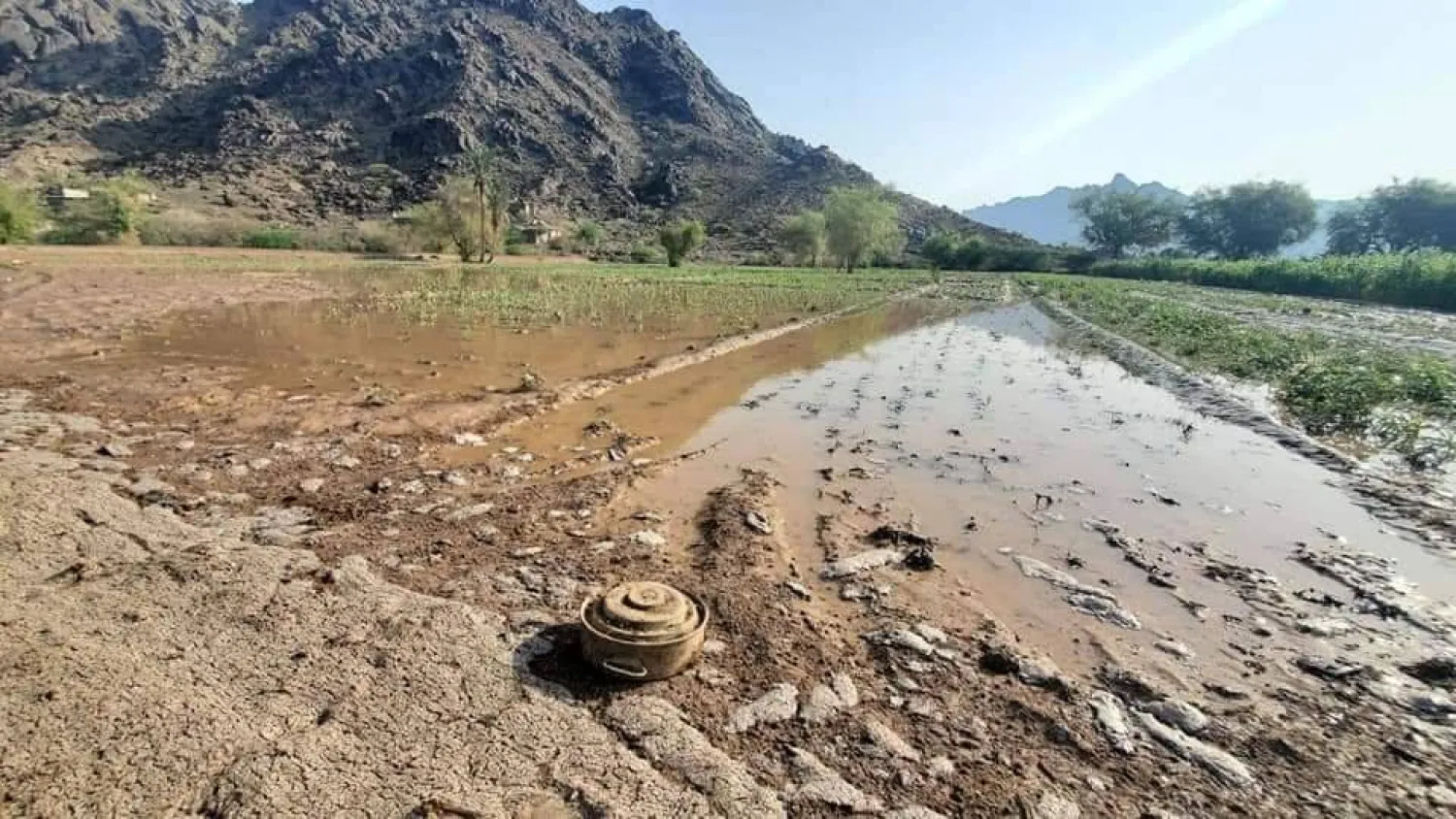 معاناة متصاعدة في اليمن بسبب الحرب والألغام