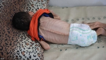 غزة تحترق جوعًا ودمًا.. مجازر على أبواب المساعدات والاحتلال يُصلي في الأقصى
