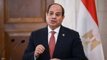 الرئيس المصري: حرب غزة أهدافها   تصفية للقضية الفلسطينية