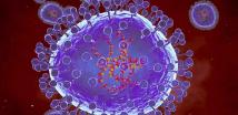  تحذير من فيروس خطير "مختبئ" يمكن أن يعود بالربيع