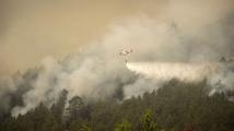 حرائق الغابات تمتد على 5 آلاف هكتار في جزر الكناري