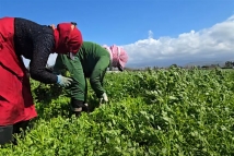 تحرك المزارعين في بعلبك–الهرمل لمواجهة التحديات