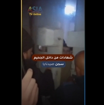 فيديو: شهادات من داخل الجحيم.. سجن صيدنايا