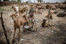 الساحل الإفريقي أمام أزمة غذائية تهدد الأمن الإقليمي
