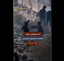 فيديو: الاستيطان يتمدد.. والفلسطينيون يُطردون من أرضهم