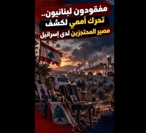 فيديو: مفقودون لبنانيون.. تحرك أممي لكشف مصير المحتجزين لدى إسرائيل