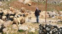 قوة إسرائيلية حاولت اختطاف راع  في خراج بلدة شبعا