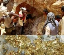 كيف تهرب الثروات اليمنية دون حساب؟