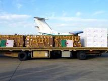 الجزائر: 168 طناً من المساعدات لغزة تصل إلى مطار العريش بمصر