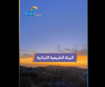 فيديو: البيئة الطبيعية اللبنانية