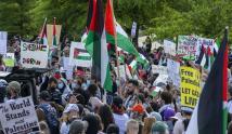 تواصل المسيرات في أمريكا تنديدا بجرائم الاحتلال في غزة