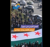 فيديو: العمل الحزبي في سوريا.. غموض قانوني وحذر سياسي