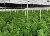 الانفتاح اللبناني – السوري بين الحاجة الاقتصادية ومخاطر التبعية الزراعية