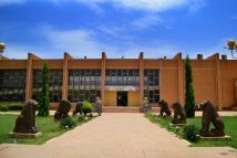 سرقة متحف السودان الطبيعي تزهق آلاف الحيوانات النادرة