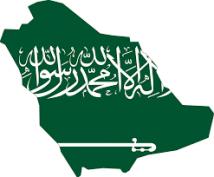 محاولة تهريب الكوكايين إلى السعودية.. كشف استراتيجية التهريب
