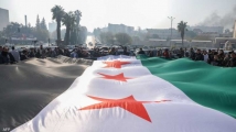 التوازن السوري أمام الضغوط الخارجية