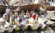 صيادو الكويت يتحدون المخاطر لضمان الغذاء