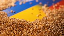 انفراجة في أزمة حبوب أوكرانيا.. هل تحل أزمة الغذاء العالمية؟