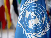 الأمم المتحدة تدعو لوقف فوري للنار في سوريا