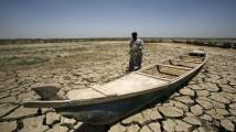 الجفاف في العراق يصرع "الحيوان الضخم"