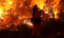 إقليم كندي أعلن حال الطوارئ بسبب حرائق الغابات