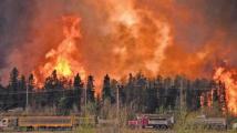 حرائق الغابات في كندا تسدد ضربة قاسية للاقتصاد