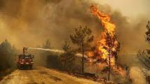اندلاع حرائق غابات في جنوب غرب فرنسا