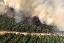 آلاف يغادرون منازلهم في كاليفورنيا جراء حريق غابات ضخم