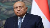 وزير خارجية مصر: سوريا قضية عربية