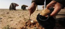 مقتل 10 أشخاص بانفجار لغمين أثناء جمع الكمأة في حماة