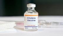 وزارة الصحة السورية تسلمت مليوني جرعة لقاح ضد الكوليرا