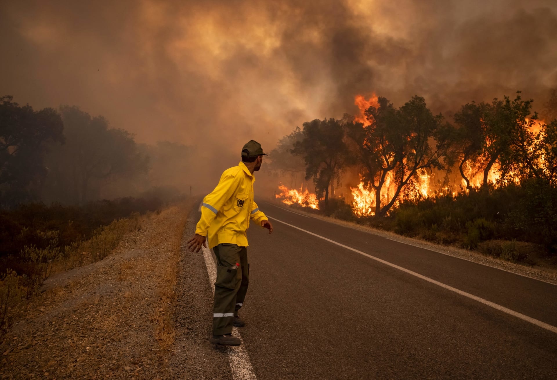 سلطات المغرب تواصل جهود إخماد حريق اندلع بغابة شرشارة شرق المملكة