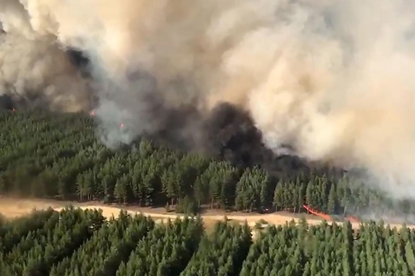 مواصلة جهود السيطرة على حريق غابات في كاليفورنيا